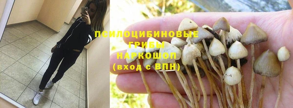 амф Алексин