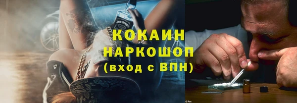 шишки Каменка