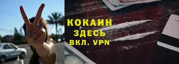 индика Алексеевка