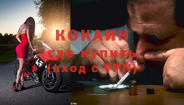 индика Алексеевка